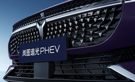 Lan Tu Chases Light 260KM Pure Electric Range for Energy Vehicles in Brilliant Purple